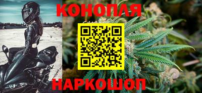 стаф Будённовск