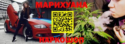 стаф Будённовск