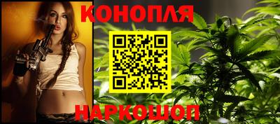 стаф Будённовск