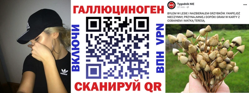 hydra ONION даркнет сайт Гагарин Галлюциногенные грибы GOLDEN TEACHER