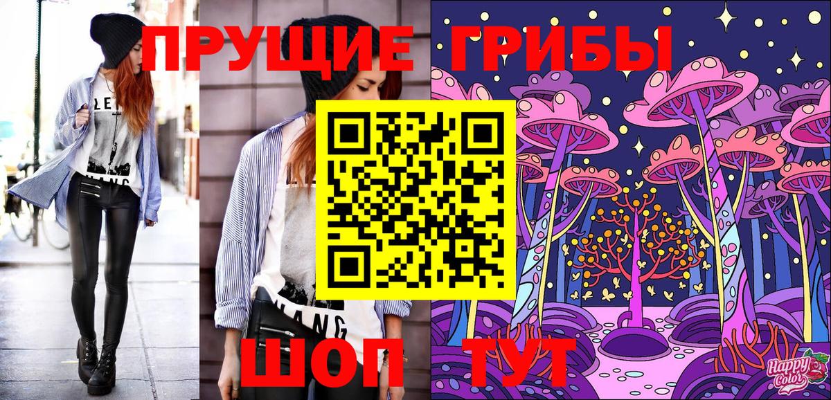 Псилоцибиновые грибы GOLDEN TEACHER  Вход с VPN  купить  сайты  Псилоцибиновые грибы GOLDEN TEACHER  Гагарин 