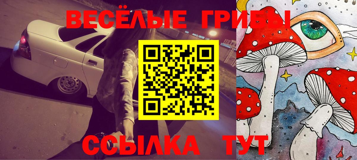 Псилоцибиновые грибы мицелий  Галлюциногенные грибы прущие грибы  купить  сайты  Гагарин 